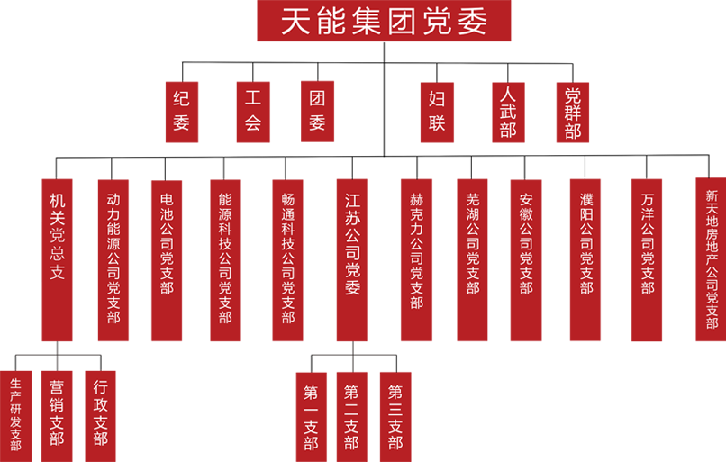 头头电子竞技建团党委组织架构